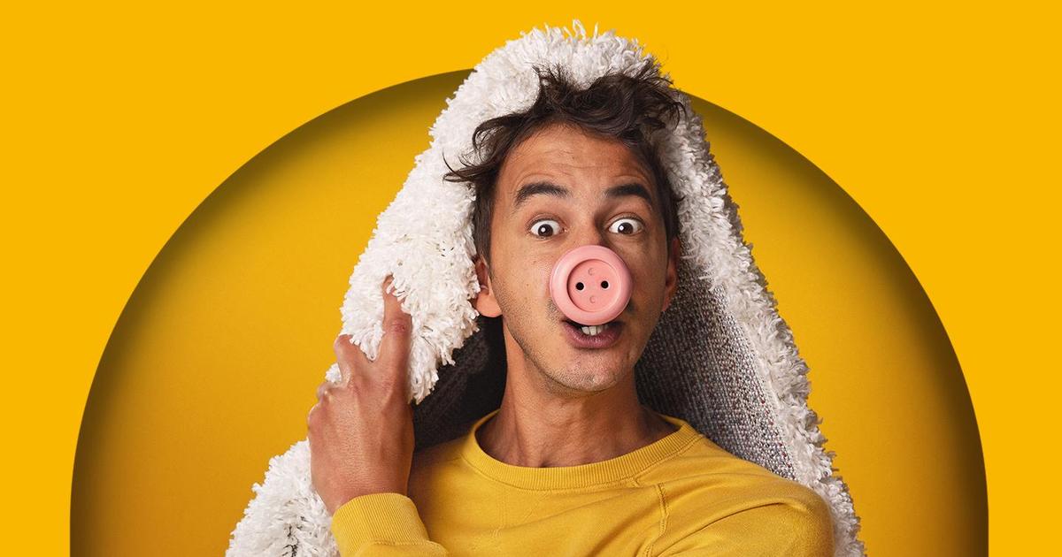 The Little Lamb That Is a Pig
